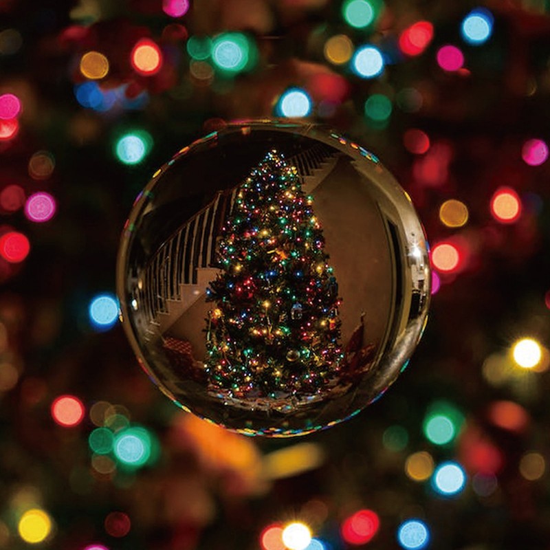 LED Globe String Light USB Powered Remote Control 16 Color