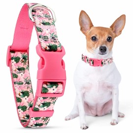 Parisian Pet Dog Collar - Adjustable “ Tropical Toucans “ Pattern Buckle Safety Girl Pet Collars for Dog - Puppy Collar - Nylon-Breathable Female Dog Collars Large Breeds L