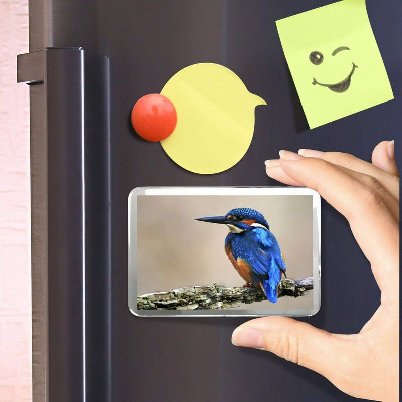 1 x Fridge Magnet -Blue Kingfisher Classic Fridge Magnet -
