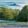 BBC Countryfile Abacus Cards 11786A Bluebells & Lake 6 Cards