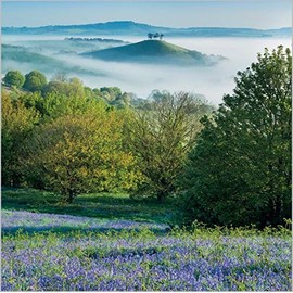 BBC Countryfile Abacus Cards 11786A Bluebells & Lake 6 Cards & Envelopes - 3 cards each of 2 designs Plastic Free and Fully Recyclable