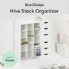 BLUE GINKGO Hive Stack Desk Organizer – Stackable Pen Holder,