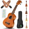 CAHAYA Concert Ukulele 23 Inch Ukulele Kit Beginner Starter with