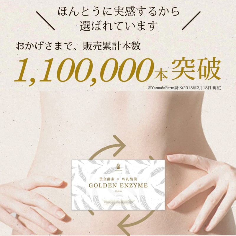 黄金 酵素 × W 乳酸菌 GOLDEN ENZYME ゴールデンエンザイム 30包 穀物酵素