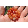 RAYON Orange Crackled Agate bead bracelet MEN Stretch 10mm 7,