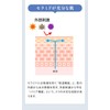 Apivotanica Nano Emulsion, 15% Sensitive Ceramide Formulation, 1.7 fl oz