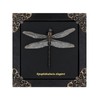 Dragonfly Framed Decoration Handmade Taxidermy Damselfly Shadow Box Collection Framed