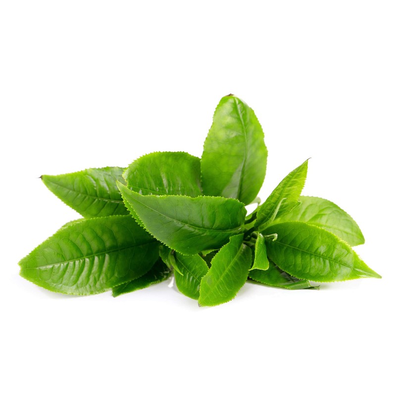 FOREO Green Tea UFO Activated Facial Mask for Blemish-Prone Oily