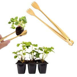 2pcs Seedling Transplant Tongs, 8 Inch Stainless Steel Plants Transplant Pliers Tongs Seedling Remover Tool Gardening Supplies for Lowering Damage to Roots (Gold)