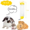 Small Animal Water Bottle, Set of 2 Colors, Leak Proof