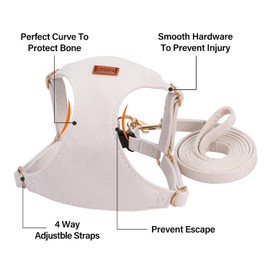 No Pull Dog Harness- Lightweight, Soft, Adjustable Small Harness Collar and Leash Set, Suitable for Cats Puppy Small and Medium-Sized Dog Outdoor Training and Running (Beige, M)