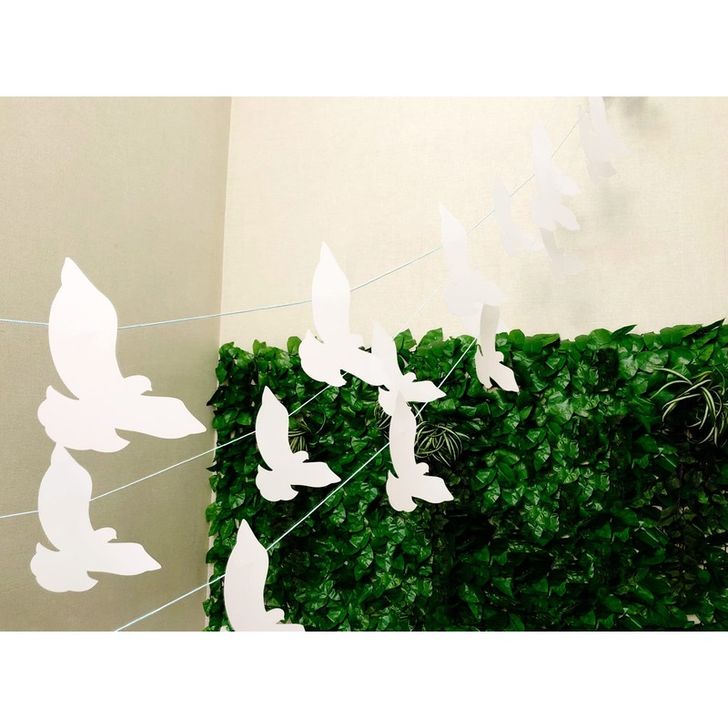 Display Cards, White, 50