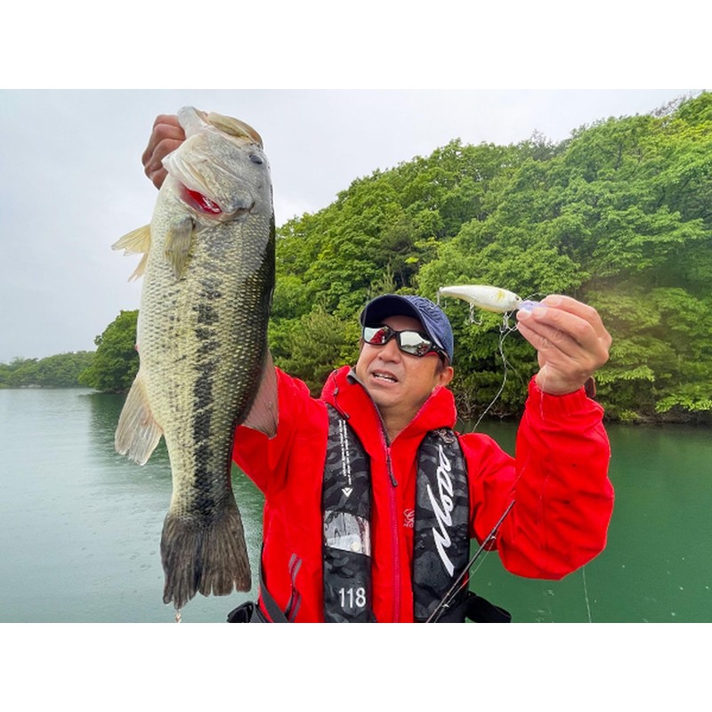 Evergreen DD X-Over #108 Ghost Ayu