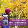 Immune Support Gummies with Sambucus Black Elderberry Extract, Zinc &
