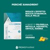 Xanadren MD - Integratore Alimentare, con Betulla, pilosella, equiseto, ortica