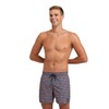 Arena Men's Beach Boxer Allover Board Shorts