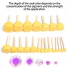Sponge Dab Brush Set, Sponge Brush, Foam Brush, Foam Brush,
