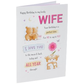 Piccadilly Greetings Cute Birthday Card Wife - 9 x 6 inches