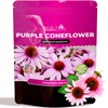 NatureZ Edge Echinacea Seeds, Purple Coneflower Seeds, Over 2300 Echinacea