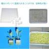 Mirhua Sponge, Soil Free Cultivation Pot, Vegetable Planting Sponge, Medium