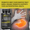 Bcuelov Probiotic and prebiotic capsules - promote gut health, immune