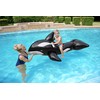 H2OGO! Jumbo Whale Rider Inflatable Pool Float