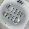 Silver Garo Kitty Handmade Nail Tips - Long Almond /