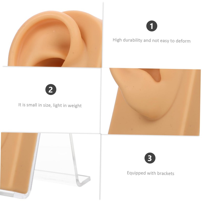 Baluue 3sets Decorative Ear Model for Jewelry Display Multi-function Earring