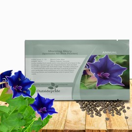 Outsidepride Blue Picotee Morning Glory Seeds - 50 Pcs. Annual, Climbing & Vining Flower Seeds for Planting Large Star-Shaped Blue Blooms, Ideal for Gardens, Trellises & Vertical Landscapes