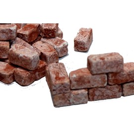40 Bricks Brick Red (Galilee) for Building a Nativity
