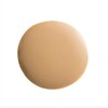 Careline Hydra Boost 3HA Foundation (401)