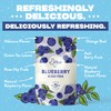 HTeaO Blueberry Green Tea – Texas-Style Flavored Iced Tea Bags