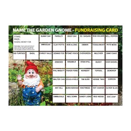 Lazy Snail 'Name the Garden Gnome' Fundraising Cards - Pack of 8 Cards - 45 Squares and Fun Golden Winner Envelopes to Raise Money for Charity - Full Colour Fund Raising Cards (A5)