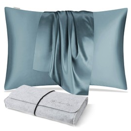 DISANGNI 100% Natural Mulberry Silk Pillow Case for Hair and Skin with Hidden Zipper 22 Momme Both Sides Real Silk Pillow Case (1pc Queen Size 20" x30", Blue Gray)