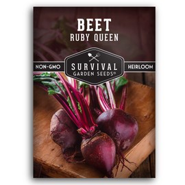 Ruby Queen Beet Seeds for Planting - Deep Red Beets for Garden Growing Outdoors, High Yield Heirloom Variety, Non-GMO Open Pollinated - Survival Garden Seeds (1 Pack)