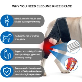 Eledume Dog Knee Brace, Dog Leg Brace with 10 Stabilizers, Adjustable Dog Knee Brace for Torn Acl Hind Leg, Joint Pain, Kneecap Dislocation, Cruciate Ligament Injury and Muscle Sore, M