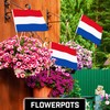 G128 12 Pack Handheld Netherlands Dutch Stick Flags | 12x18
