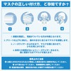 Hellozebra Non-woven Mask, Individually Packaged, Disposable, 3-Layer Structure, 4-tier Pleated,