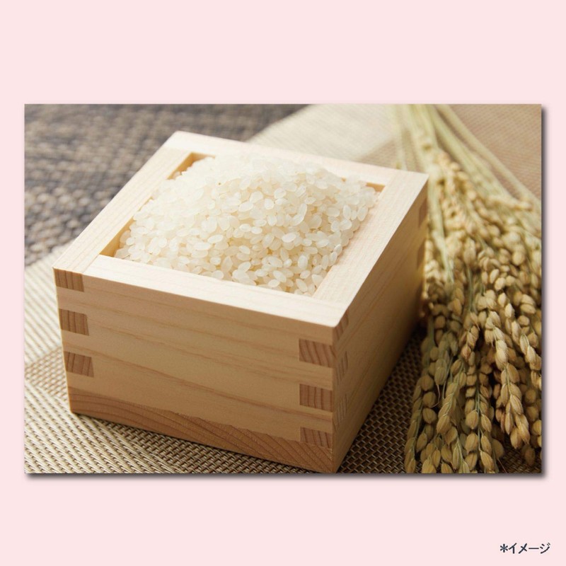 Clear Natural Gloss Scalp Shampoo, 12.5 oz (370 g) (x1)