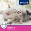 Vitakraft Lick 'n' Lap Snack Creamy, Cat Treat with Real