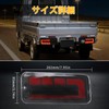 Syncnika 2pcs LED Tail Lamp High Jet Truck Jumbo S500/S510