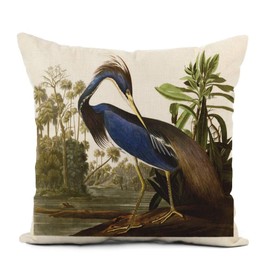 Topyee Throw Pillow Cover 20x20 Inch Audubon Blue Louisiana Heron Bird Drawing Nature Vintage Home Decor Pillowcases Square Pillow Cases Cushion Covers for Sofa Couch Bed