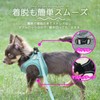 Best Answer Pet Leash Harness Lead Set, Brown, Large Size,
