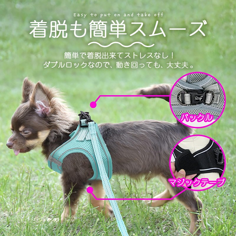 Best Answer Pet Leash Harness Lead Set, Brown, Large Size,
