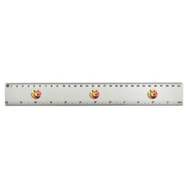 'Capybara' 30cm (12 Inch) White Plastic Ruler (RL00083846)