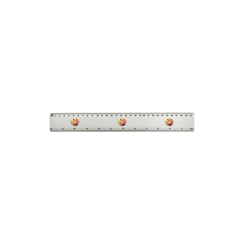 'Capybara' 30cm (12 Inch) White Plastic Ruler (RL00083846)