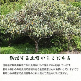 Gabai Farm Domestically Produced, Handmade Loquat Leaf Tea, 0.1 oz (3 g) x 40 Packets (Set of 3), Herbal Tea, Tea Decaffeinated, Healthy Tea, Tea Bag, Additive-free, Made in Tokushima Prefecture