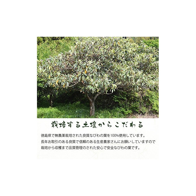 Gabai Farm Domestically Produced, Handmade Loquat Leaf Tea, 0.1 oz