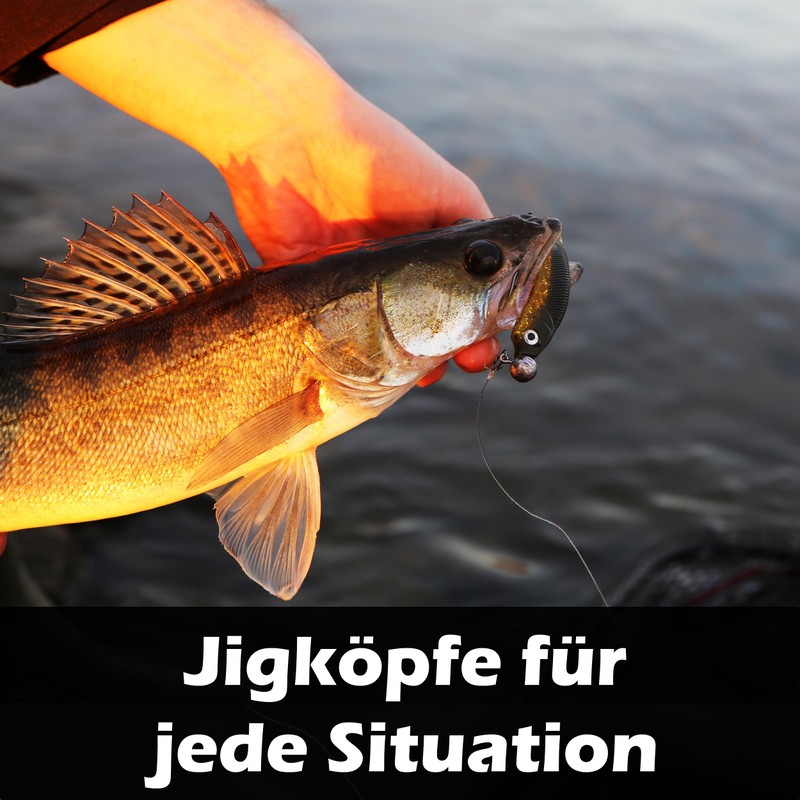 Paradox Fishing Set di 15 teste di jig da 18