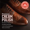 RED MOOSE Premium Brown Boot and Shoe Cream Polish -